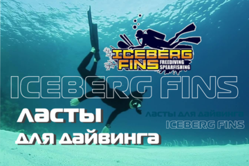 Разработка графического материала для фирмы ICEBERG FINS
