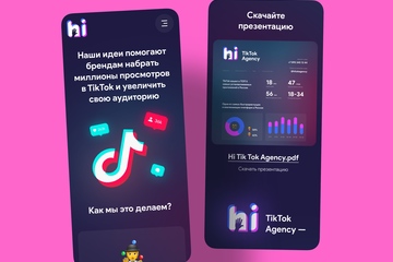 TikTok Agency Web Site Design 