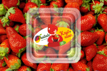Разработка логотипа и упаковки FRUTALE
