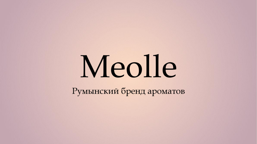 Эта работа посвящена анализу бренда Meolle, румынского производителя ароматов для дома, с акцентом на его целевую аудиторию и позиционирование. Ключевая идея бренда заключается в т