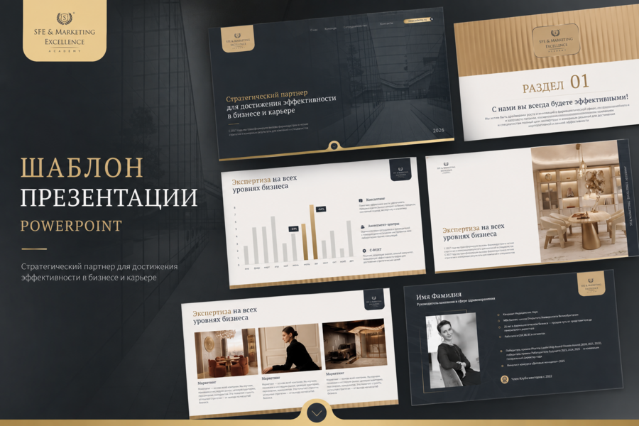 Шаблон презентации SFE & Marketing Excellence Academy
