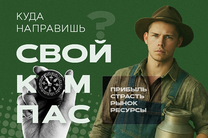 ФУНДУКЛЫ | Серия иллюстраций для статей по ведению фермерского бизнеса